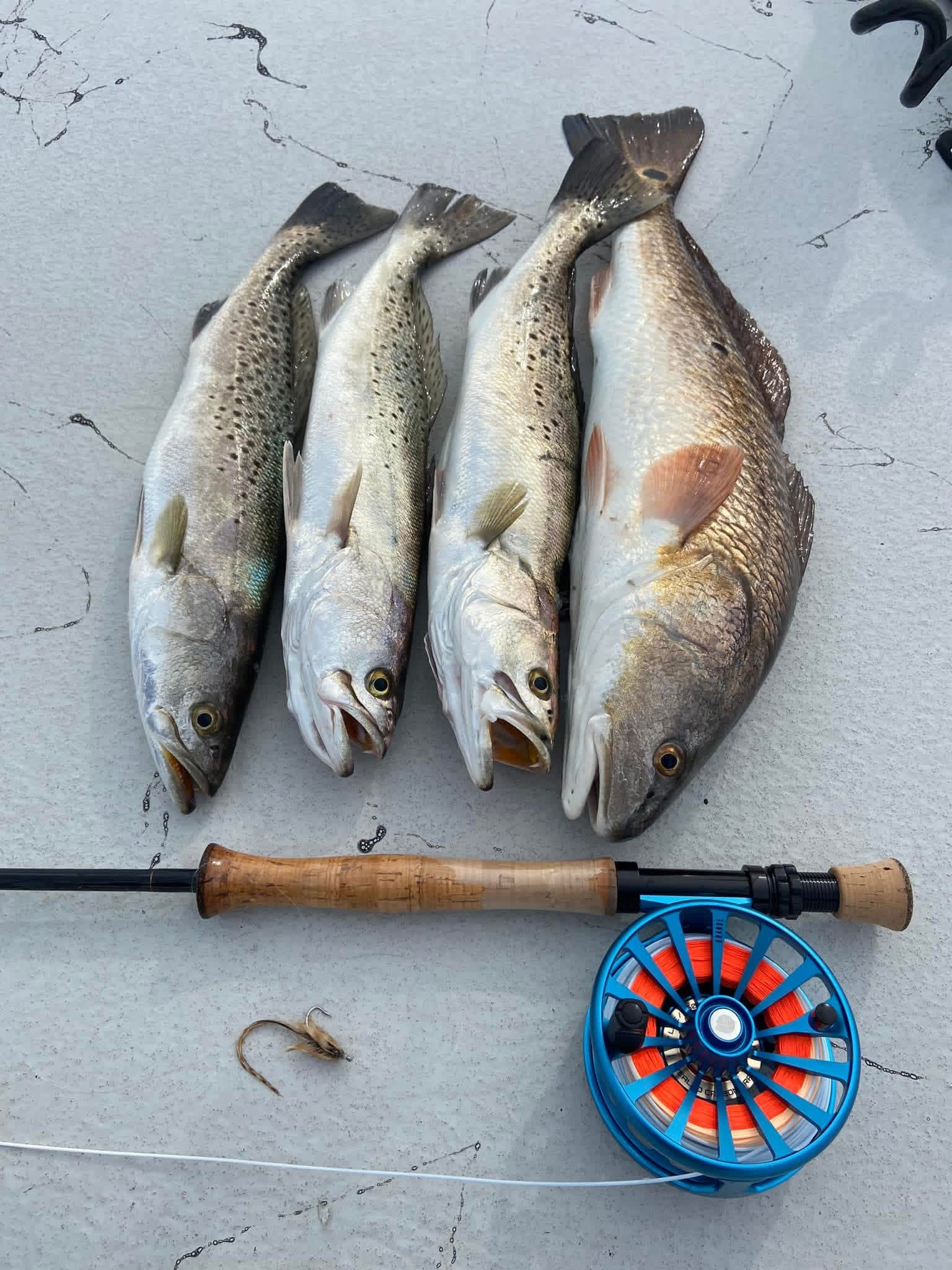 Charter catch and trip photo