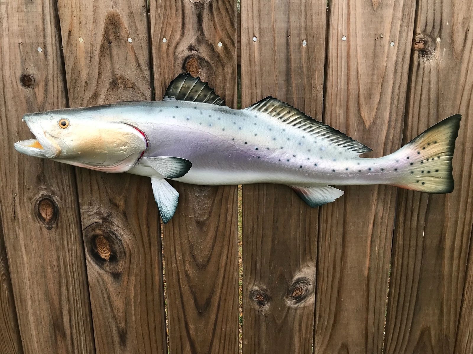 Fiberglass fish mount