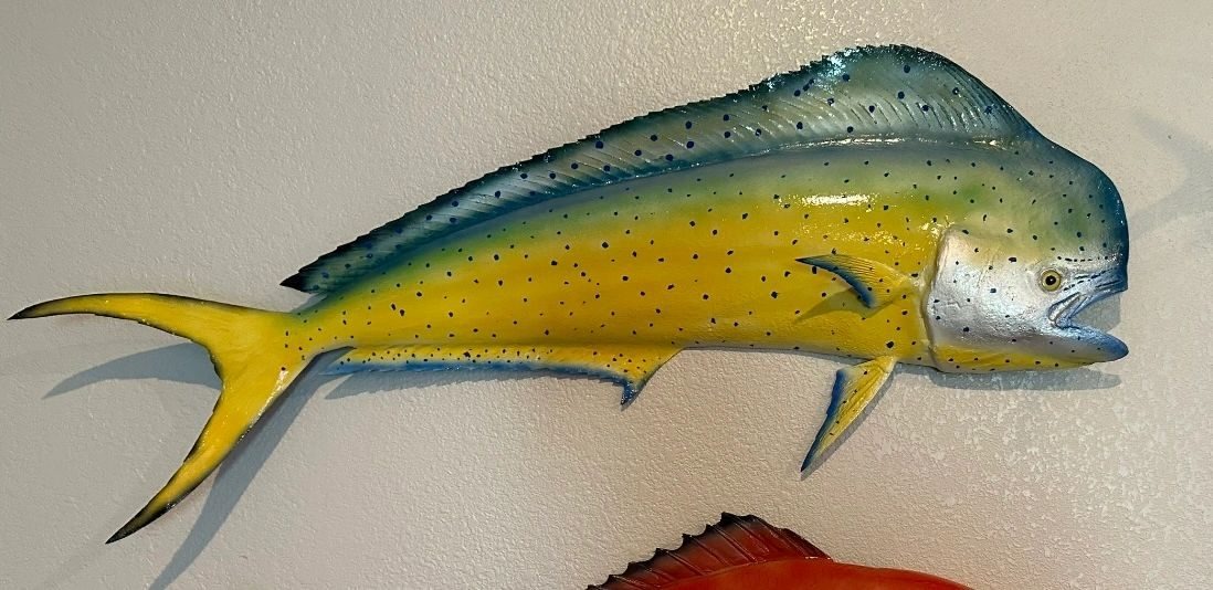 Fiberglass fish mount