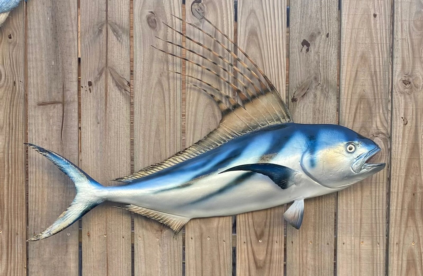 Fiberglass fish mount