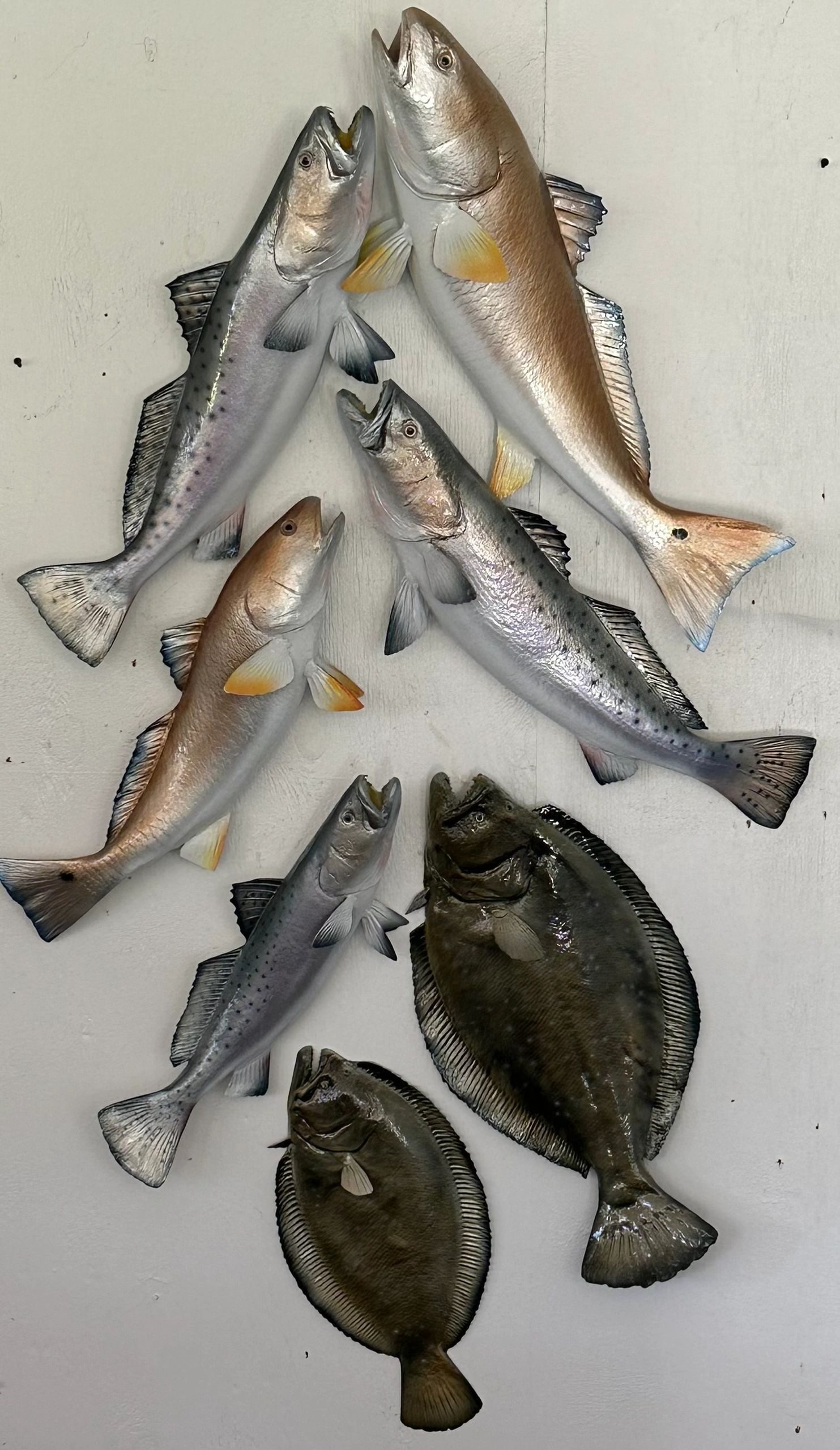 Charter catch and trip photo