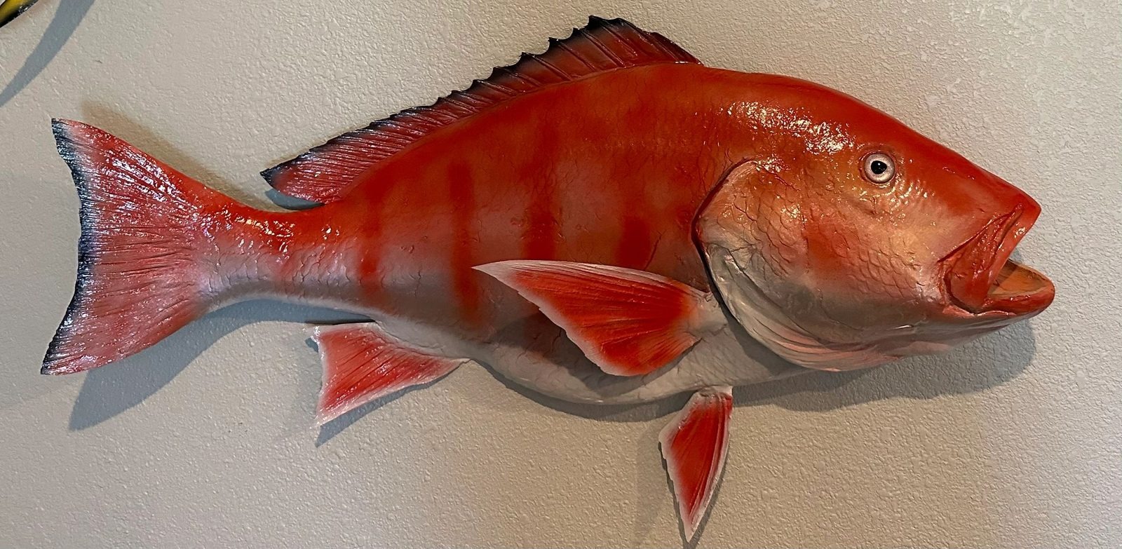 Fiberglass fish mount