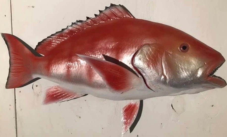 Fiberglass fish mount