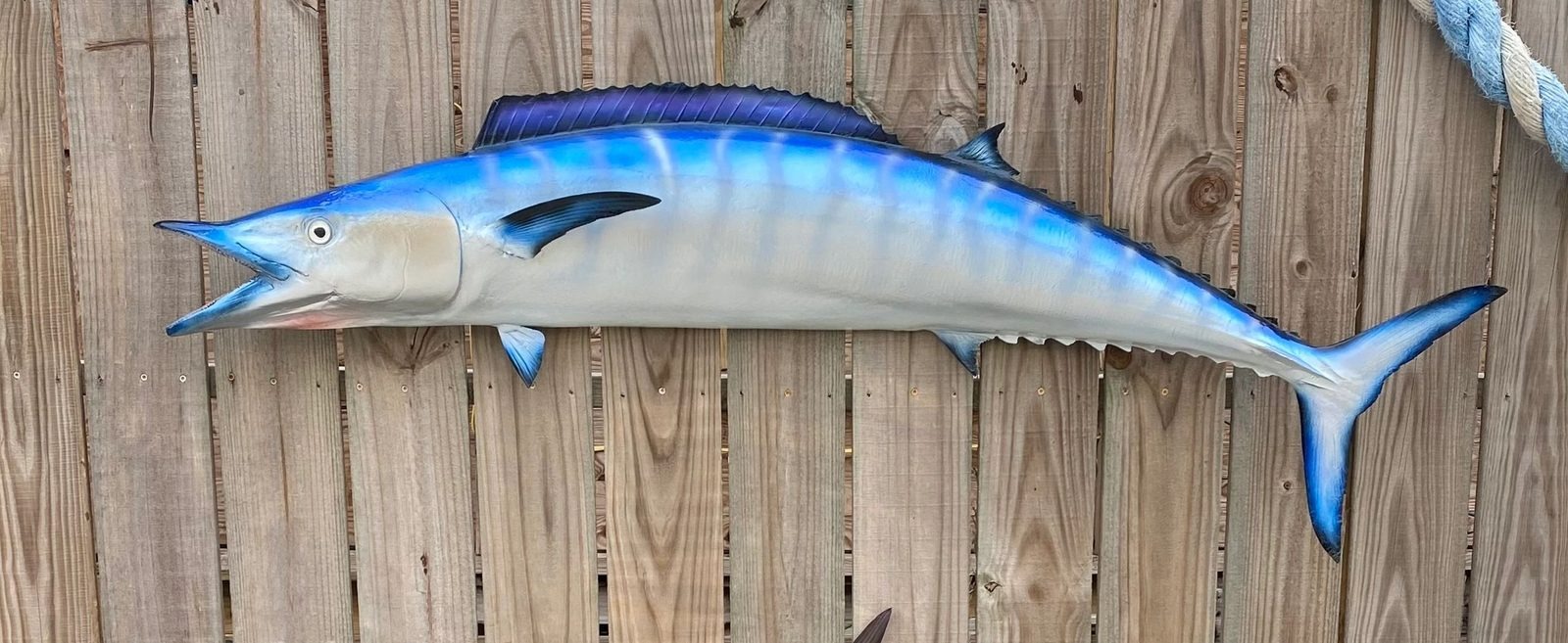 Fiberglass fish mount