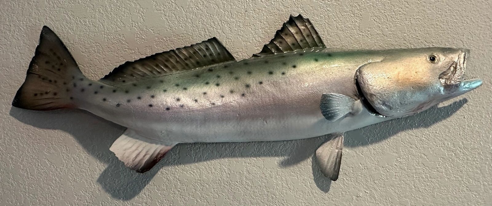 Fiberglass fish mount