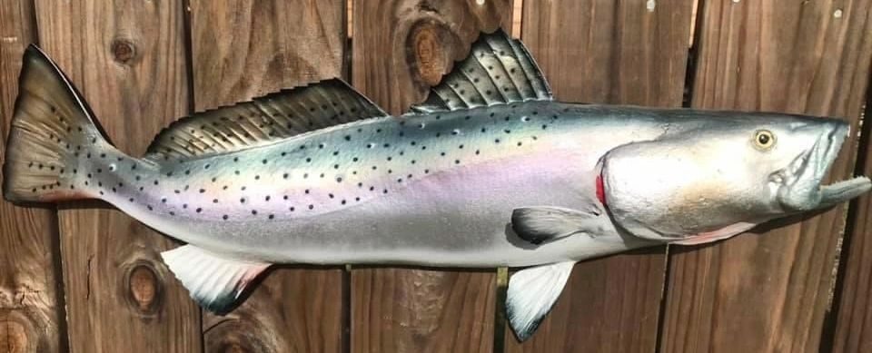 Fiberglass fish mount