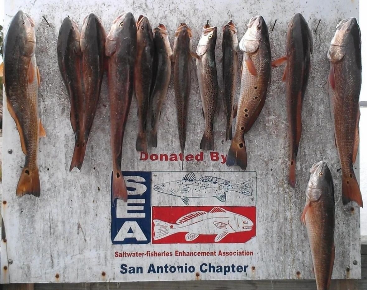Charter catch and trip photo