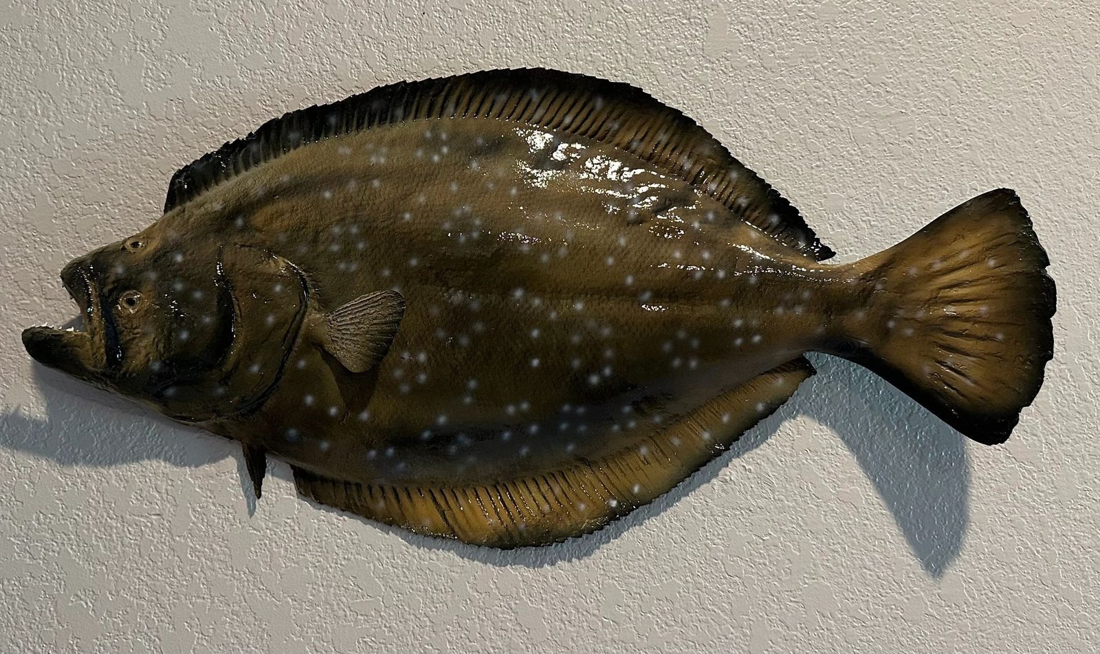 Fiberglass fish mount